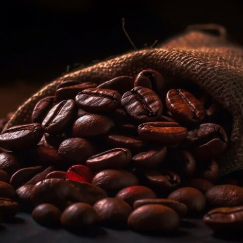 The Art of Coffee Roasting: Techniques and Tips for Roasters