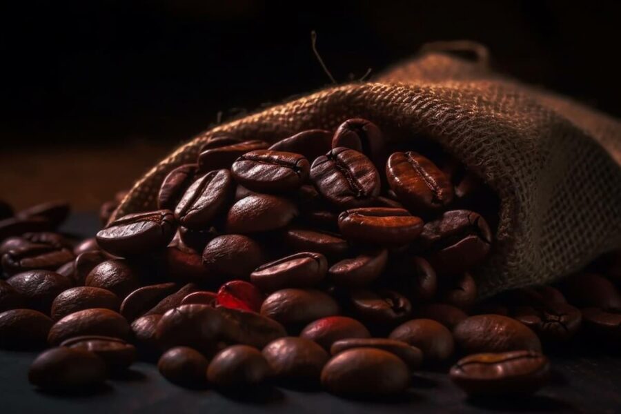 The Art of Coffee Roasting: Techniques and Tips for Roasters